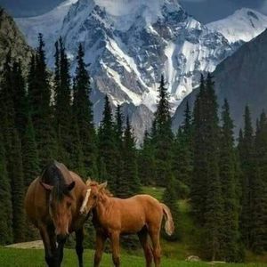 Meet your Posher, Jan schoenemann